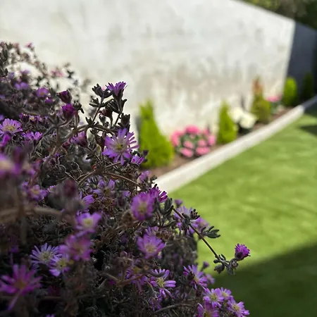 Civico 19 Bed and breakfast