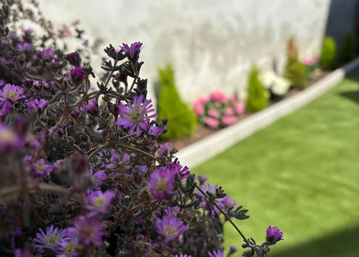 Civico 19 住宿加早餐酒店